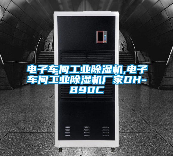 電子車(chē)間工業(yè)除濕機(jī),電子車(chē)間工業(yè)除濕機(jī)廠(chǎng)家DH-890C