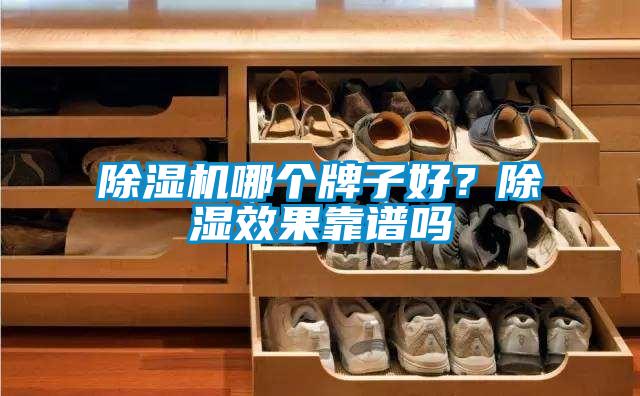 除濕機(jī)哪個(gè)牌子好？除濕效果靠譜嗎