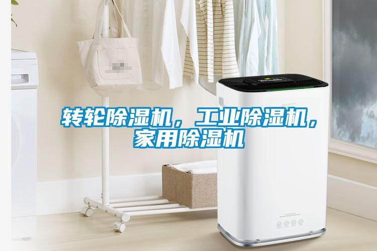 轉(zhuǎn)輪除濕機，工業(yè)除濕機，家用除濕機