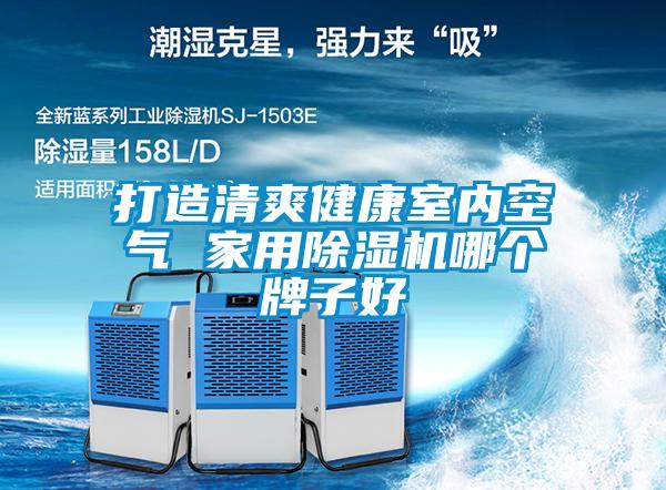 打造清爽健康室內(nèi)空氣 家用除濕機(jī)哪個牌子好