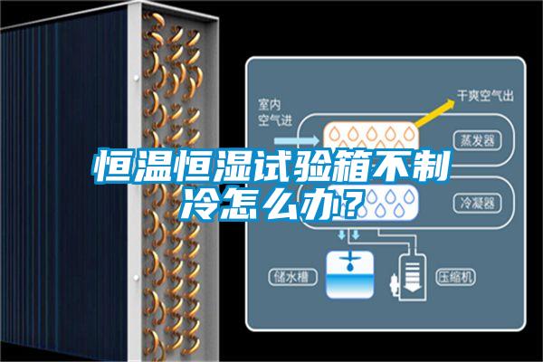恒溫恒濕試驗箱不制冷怎么辦？