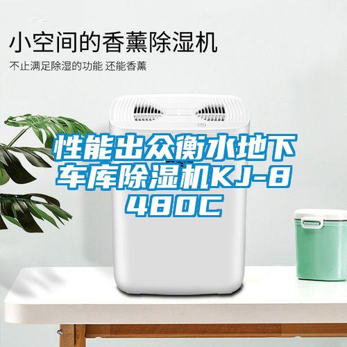 性能出眾衡水地下車(chē)庫(kù)除濕機(jī)KJ-8480C