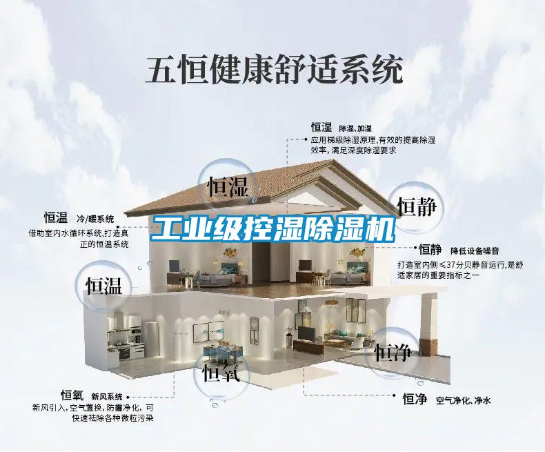 工業(yè)級控濕除濕機(jī)