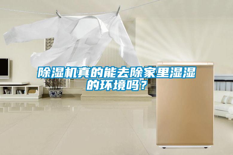 除濕機真的能去除家里濕濕的環境嗎？