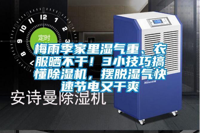 梅雨季家里濕氣重、衣服曬不干！3小技巧搞懂除濕機，擺脫濕氣快速節電又干爽