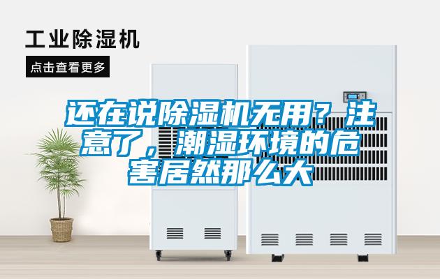 還在說(shuō)除濕機(jī)無(wú)用？注意了，潮濕環(huán)境的危害居然那么大