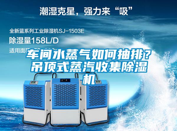 車間水蒸氣如何抽排？吊頂式蒸汽收集除濕機(jī)