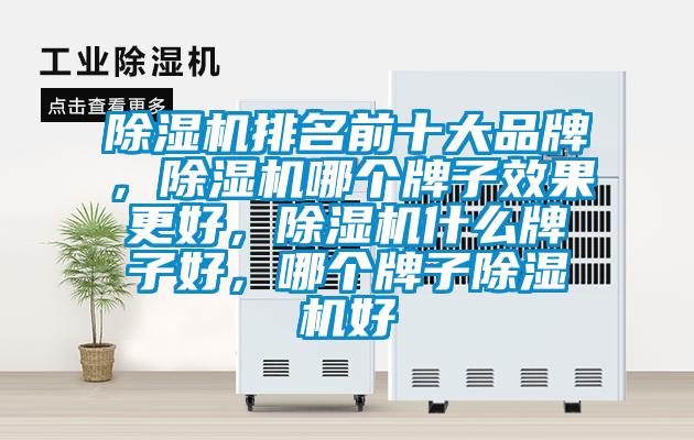 除濕機排名前十大品牌，除濕機哪個牌子效果更好，除濕機什么牌子好，哪個牌子除濕機好