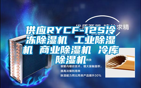 供應(yīng)RYCF-12S冷凍除濕機 工業(yè)除濕機 商業(yè)除濕機 冷庫除濕機