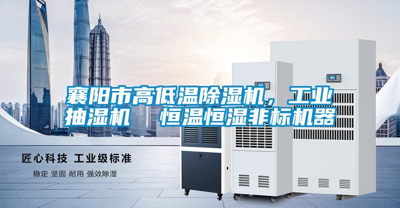 襄陽市高低溫除濕機，工業(yè)抽濕機  恒溫恒濕非標(biāo)機器