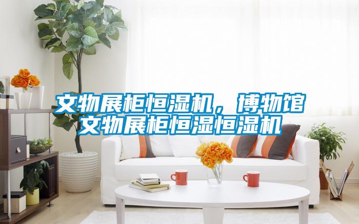 文物展柜恒濕機，博物館文物展柜恒濕恒濕機