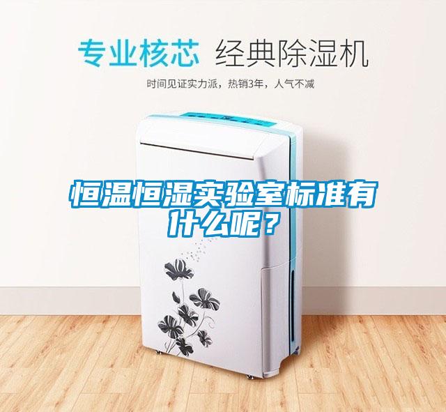 恒溫恒濕實驗室標準有什么呢？