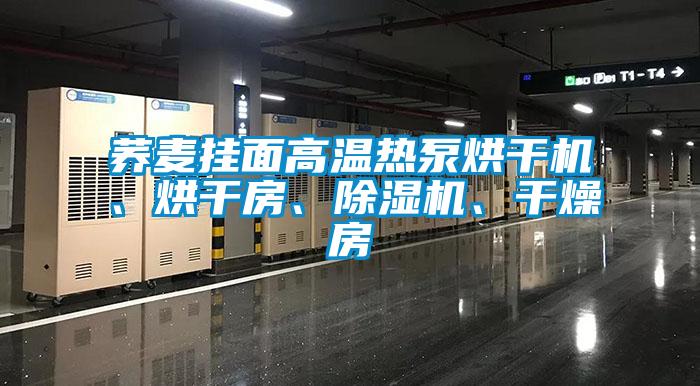 蕎麥掛面高溫熱泵烘干機、烘干房、除濕機、干燥房