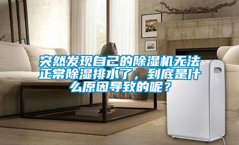 突然發(fā)現(xiàn)自己的除濕機(jī)無(wú)法正常除濕排水了，到底是什么原因?qū)е碌哪兀?/></p>
						    <p style=
