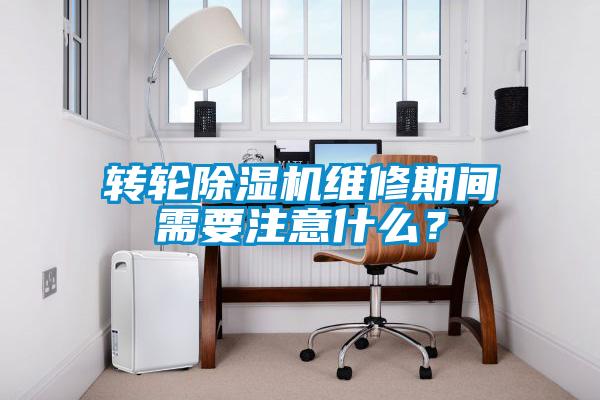 轉(zhuǎn)輪除濕機維修期間需要注意什么？
