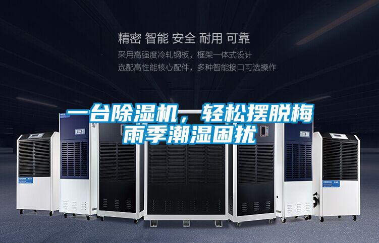 一臺除濕機，輕松擺脫梅雨季潮濕困擾