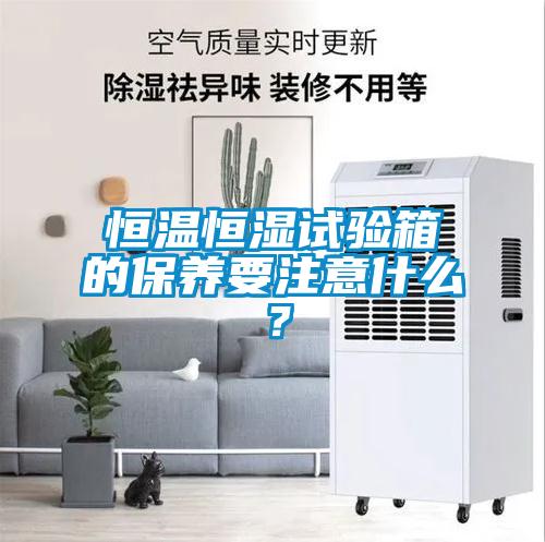 恒溫恒濕試驗箱的保養(yǎng)要注意什么？