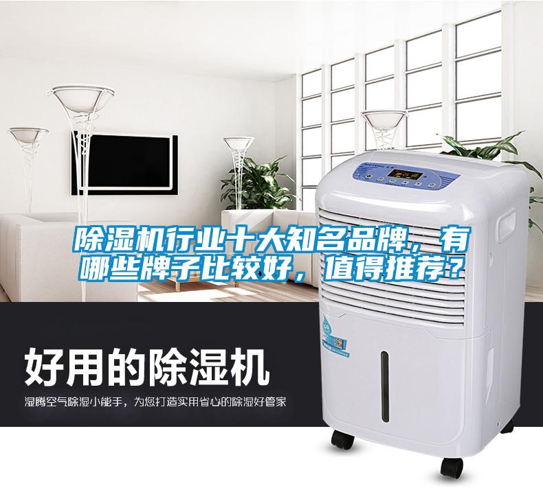 除濕機行業十大知名品牌，有哪些牌子比較好，值得推薦？