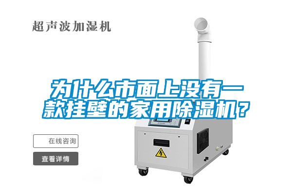 為什么市面上沒有一款掛壁的家用除濕機(jī)？