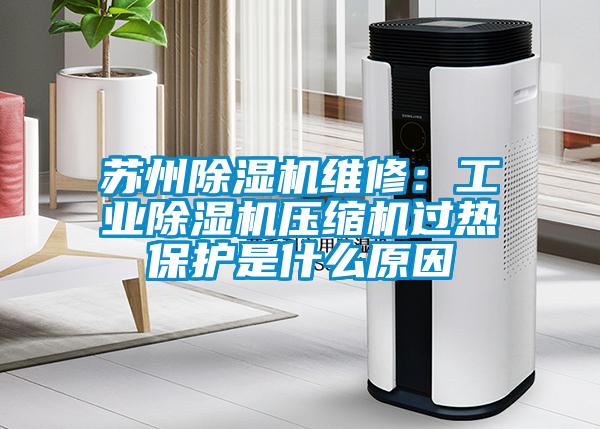 蘇州除濕機維修：工業(yè)除濕機壓縮機過熱保護(hù)是什么原因