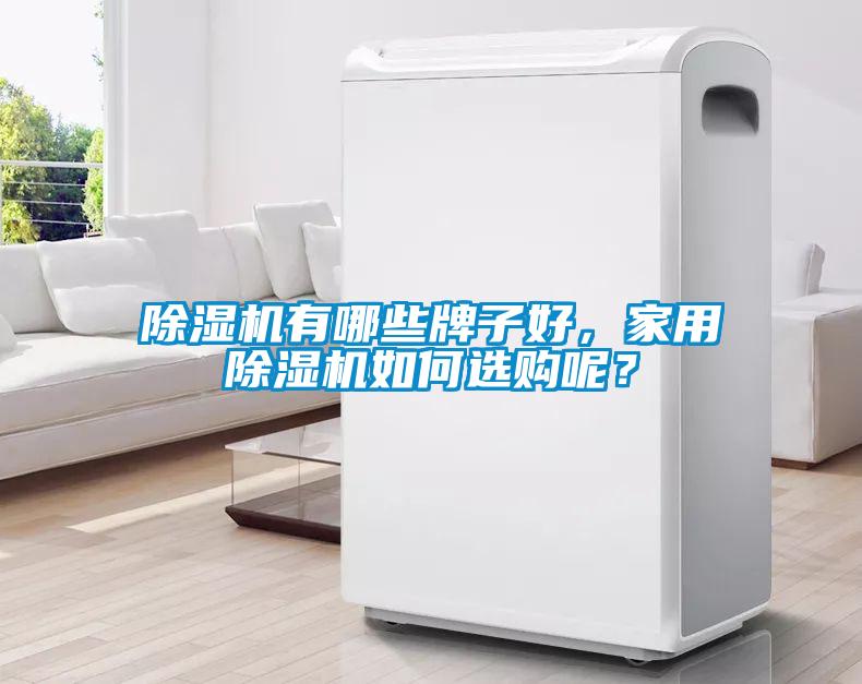 除濕機(jī)有哪些牌子好，家用除濕機(jī)如何選購呢？