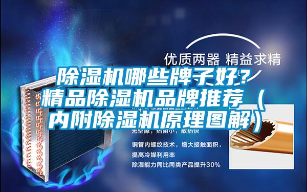 除濕機哪些牌子好？精品除濕機品牌推薦（內(nèi)附除濕機原理圖解）