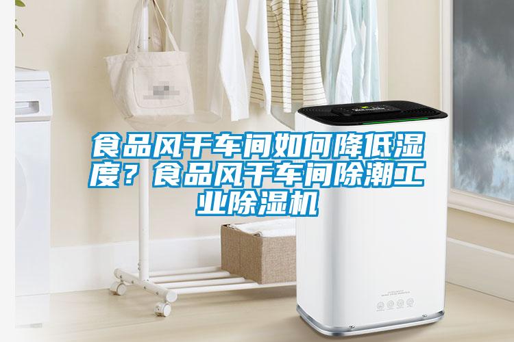 食品風干車間如何降低濕度？食品風干車間除潮工業除濕機