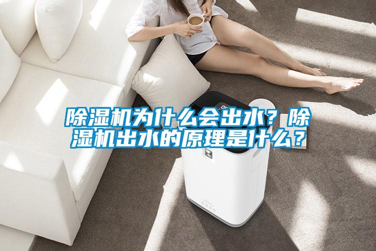 除濕機(jī)為什么會(huì)出水？除濕機(jī)出水的原理是什么？