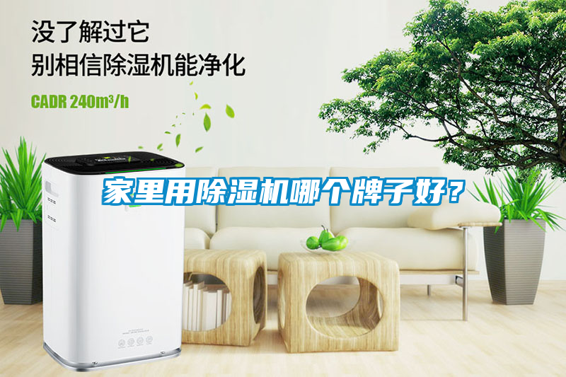 家里用除濕機哪個牌子好？
