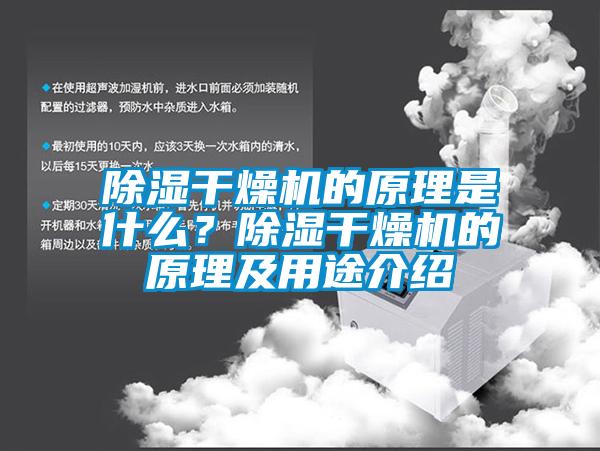 除濕干燥機(jī)的原理是什么？除濕干燥機(jī)的原理及用途介紹