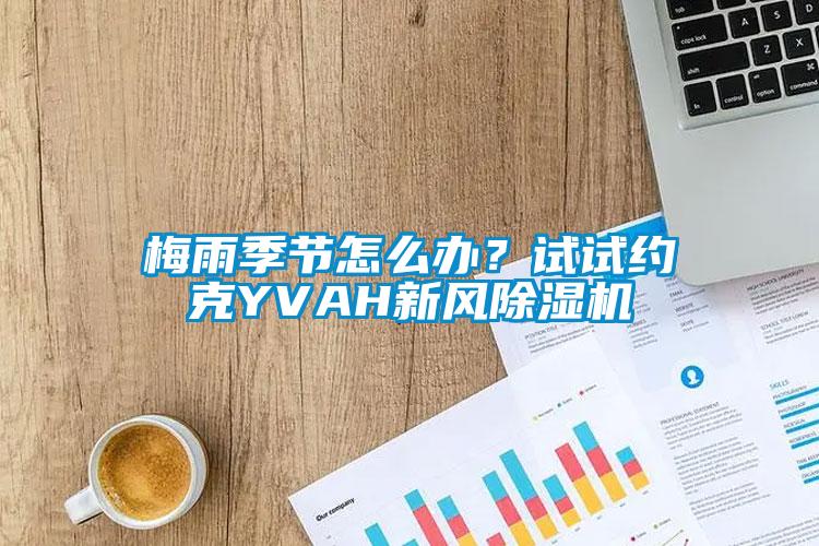 梅雨季節(jié)怎么辦？試試約克YVAH新風(fēng)除濕機(jī)
