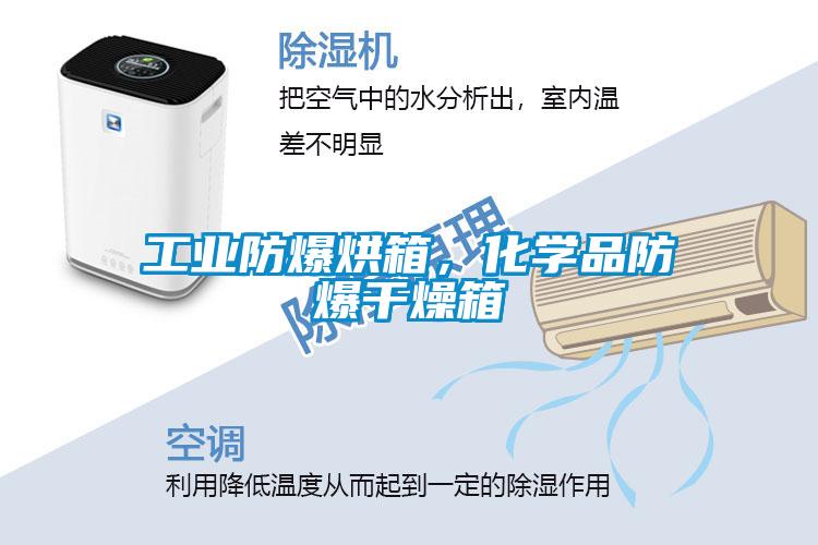 工業(yè)防爆烘箱，化學品防爆干燥箱