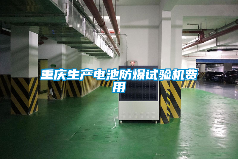 重慶生產(chǎn)電池防爆試驗機(jī)費用