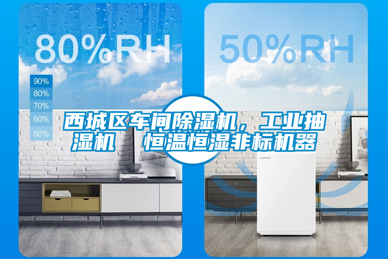 西城區(qū)車間除濕機，工業(yè)抽濕機  恒溫恒濕非標機器