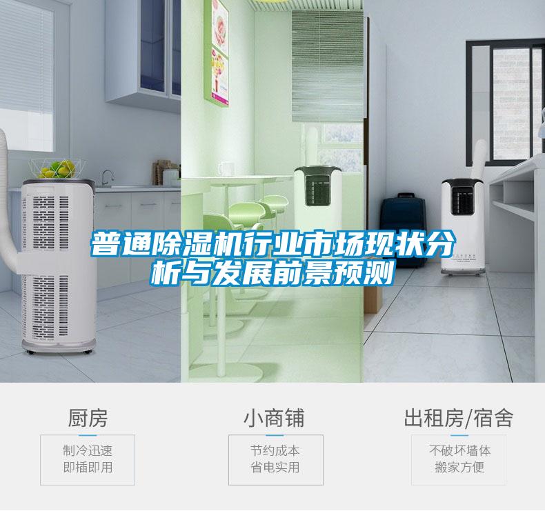 普通除濕機行業(yè)市場現狀分析與發(fā)展前景預測