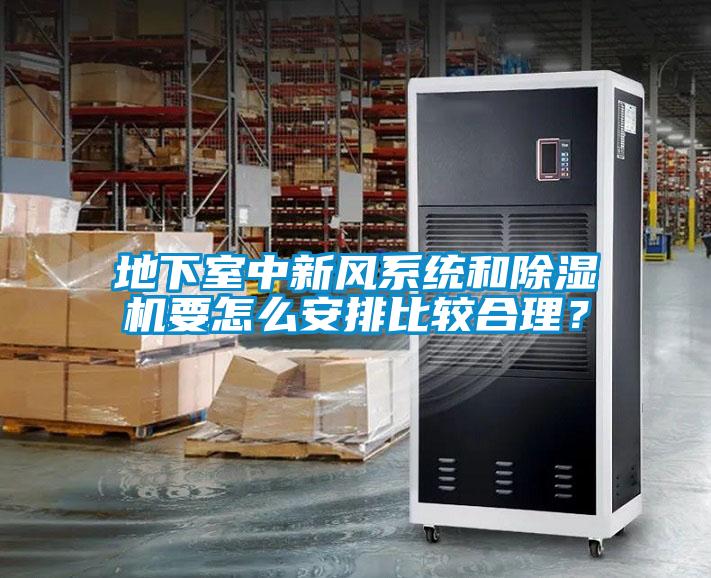 地下室中新風系統和除濕機要怎么安排比較合理？