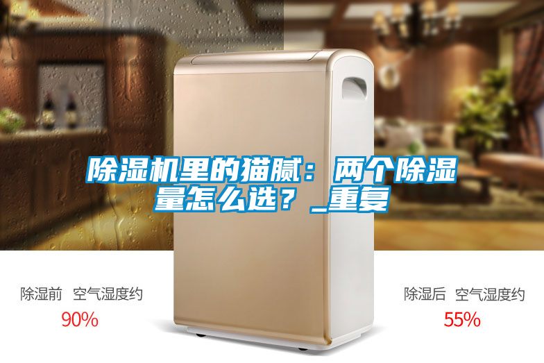除濕機(jī)里的貓膩：兩個(gè)除濕量怎么選？_重復(fù)