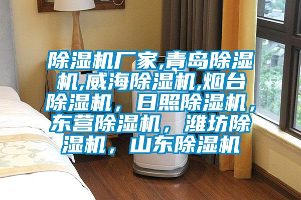 除濕機(jī)廠家,青島除濕機(jī),威海除濕機(jī),煙臺(tái)除濕機(jī)，日照除濕機(jī)，東營(yíng)除濕機(jī)，濰坊除濕機(jī)，山東除濕機(jī)