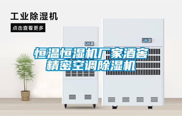 恒溫恒濕機廠家酒窖精密空調(diào)除濕機
