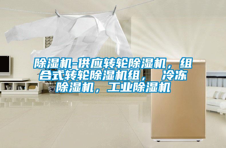 除濕機-供應轉輪除濕機，組合式轉輪除濕機組， 冷凍除濕機，工業除濕機