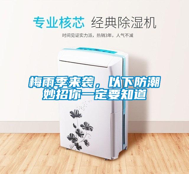 梅雨季來襲，以下防潮妙招你一定要知道