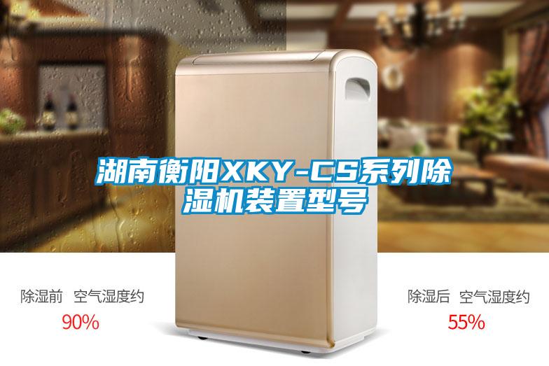 湖南衡陽(yáng)XKY-CS系列除濕機(jī)裝置型號(hào)