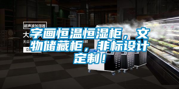 字畫恒溫恒濕柜，文物儲藏柜，非標設(shè)計定制！