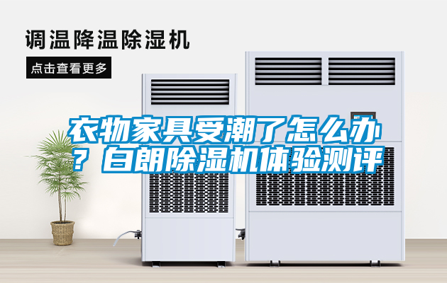 衣物家具受潮了怎么辦？白朗除濕機體驗測評