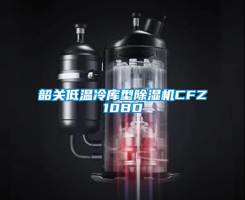 韶關(guān)低溫冷庫(kù)型除濕機(jī)CFZ10BD