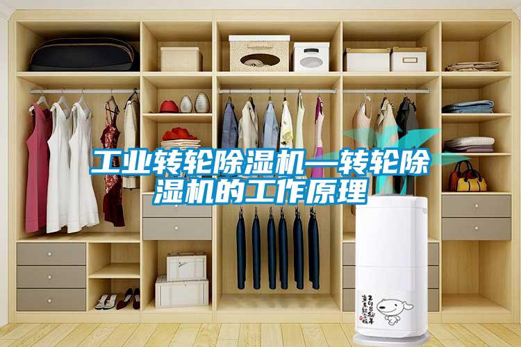 工業(yè)轉(zhuǎn)輪除濕機—轉(zhuǎn)輪除濕機的工作原理