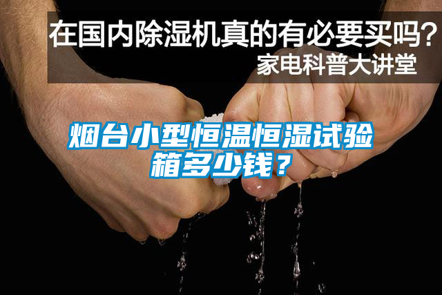 煙臺(tái)小型恒溫恒濕試驗(yàn)箱多少錢？