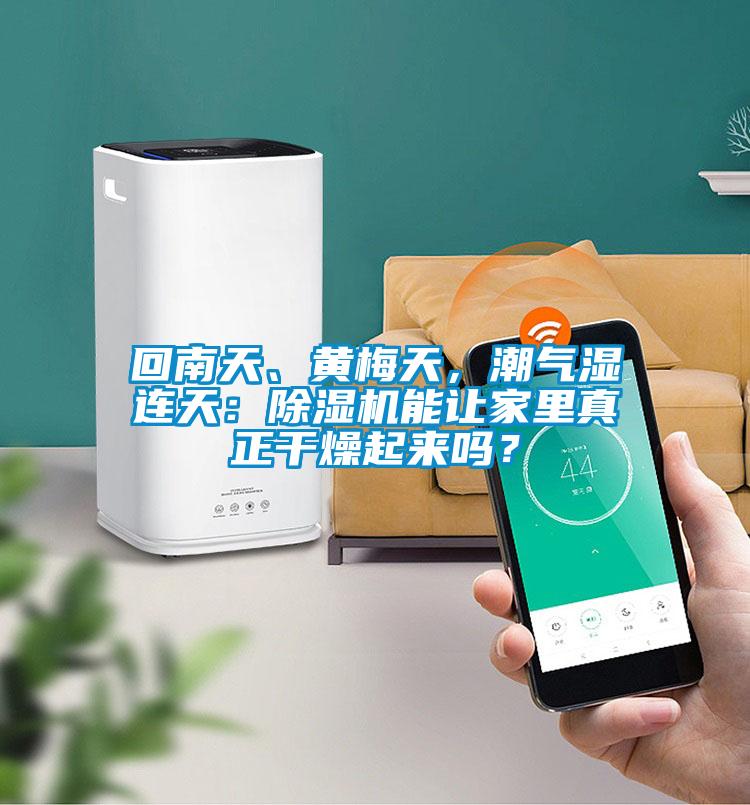 回南天、黃梅天，潮氣濕連天：除濕機(jī)能讓家里真正干燥起來嗎？