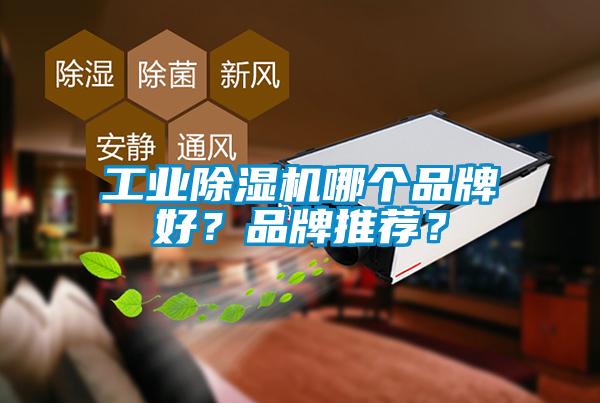 工業(yè)除濕機哪個品牌好？品牌推薦？