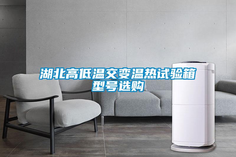 湖北高低溫交變溫?zé)嵩囼?yàn)箱型號(hào)選購